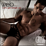 Gregg Homme - Web