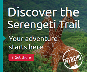Discover the Serengeti Trail with Intrepid Travel