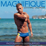 Magnifique 2013 Calendar