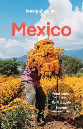 Lonely Planet Mexico Travel Guide