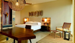 Andaz Papagayo forest king room