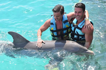 Riviera Maya gay holidays swim with dolphins