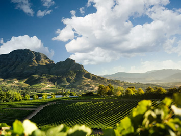 Winelands South Africa Gay tour