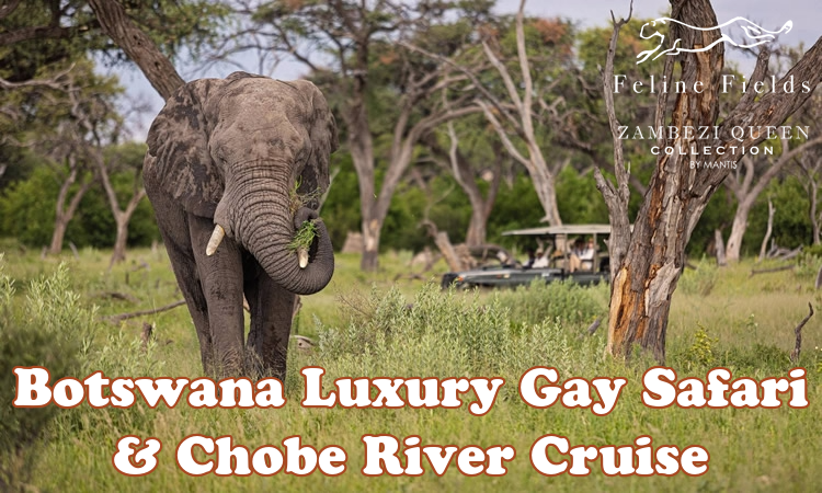 Botswana Luxury Gay Safari  & Chobe River Cruise