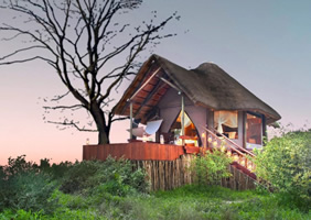 Feline Fields Lodge bush suite