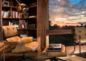 Feline Fields Lodge library