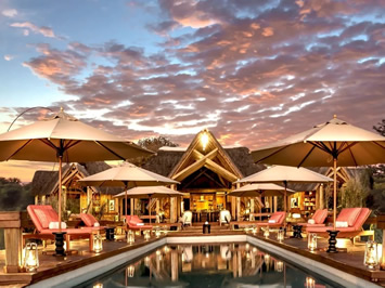 Feline Fields Lodge night