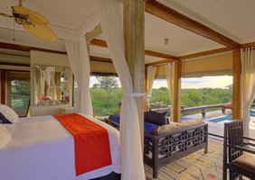 Feline Fields Lodge pool suite room