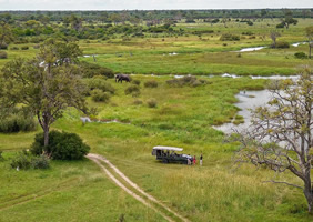 Feline Fields Vintage Camp game drive