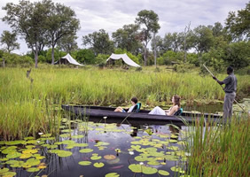 Feline Fields Vintage Camp Mokoro safari