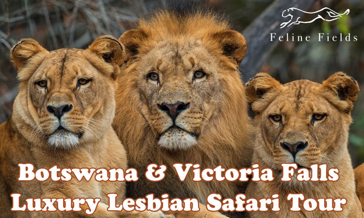 Botswana & Victoria Falls Luxury Lesbian Safari Tour