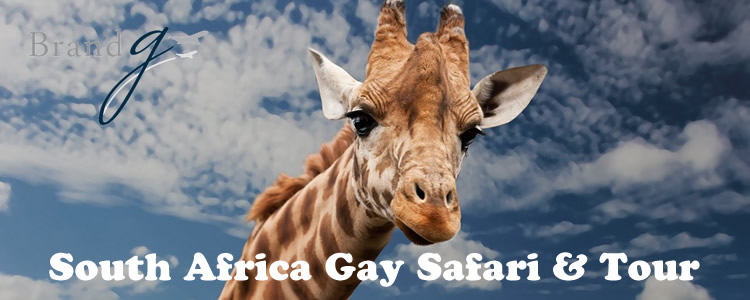 South Africa Luxury Gay Safari & Tour - Victoria Falls, Sabi Sabi Game ...