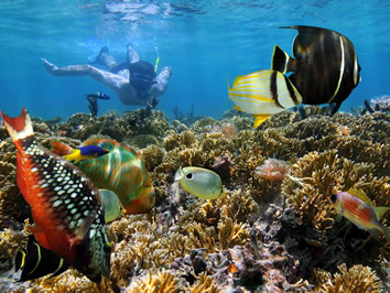 Madagascar marine reserve