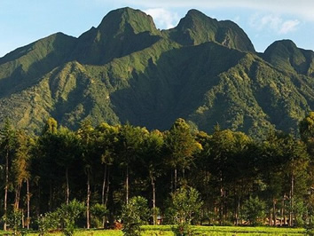 Volcanoes National Park gay safari