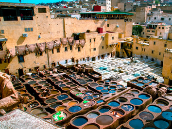 Fez Morocco gay tour
