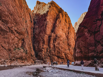 Morocco gay tour - Todgha Gorge