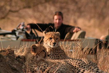 Kruger Park gay safari