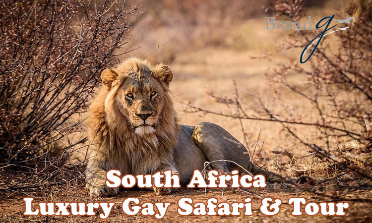 South Africa Luxury Gay Safari & Tour