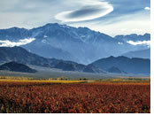 Mendoza, Argentina gay tour
