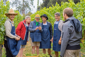 Chile winery gay tour