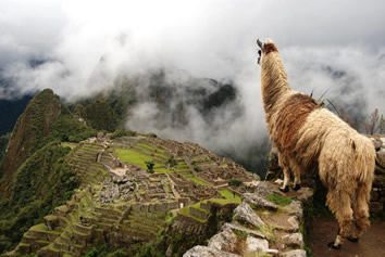 Peru Machu Picchu gay tour