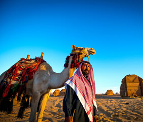 Saudi Arabia desert tour