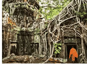 Cambodia gay tour - Angkor