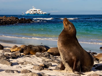 Galapagos gay adventure cruise