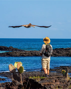 Galapagos wildlife gay cruise