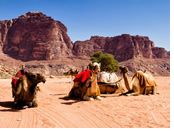 Wadi Rum, Jordan gay tour