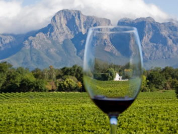 Cape Winelands gay tour