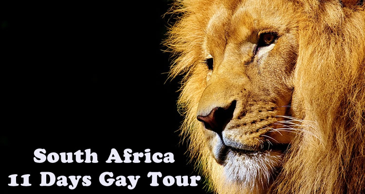 12 Days South Africa Gay Tour - Cape Town, Winelands, Kruger Park, Johannesburg