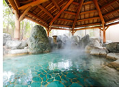 Takayama Green Hotel