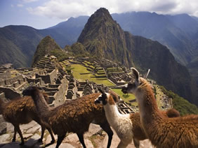 Machu Picchu All-Gay Tour