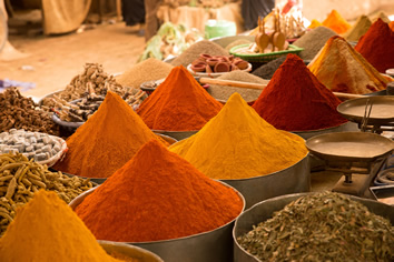 Delhi lesbian tour - Khari Baoli Spice Market