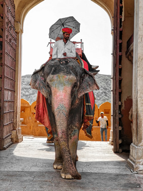 India lesbian trip