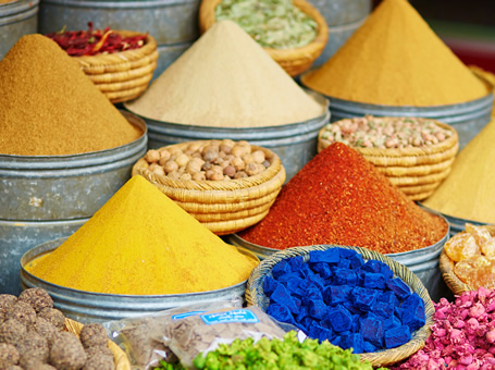 Lesbian Morocco Tour