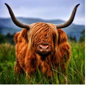Scotland lesbian trip