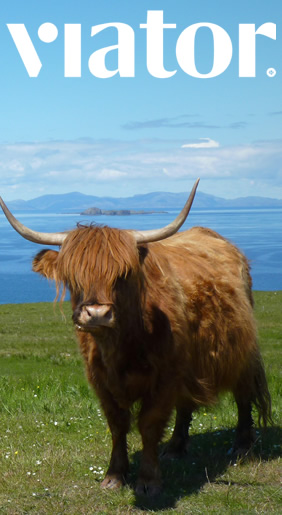 All Scotland Tours & Excursions at Viator