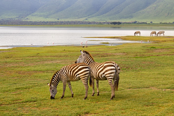 Ngorongoro Crater lesbian safari