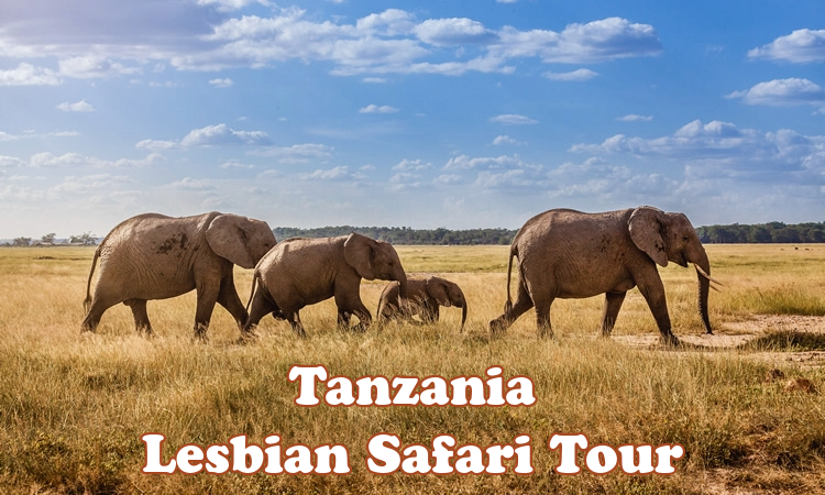 Tanzania Lesbian Safari Tour
