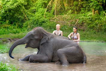 Chiang Mai  elephant sanctuary lesbian tour