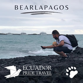 Bearlapagos - Galapagos bears cruise