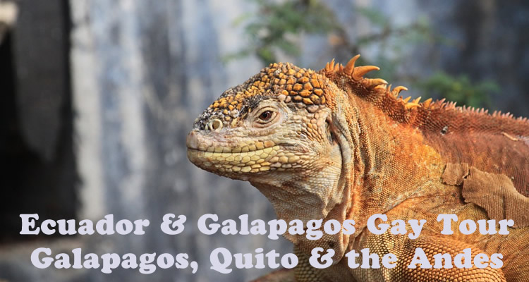 Ecuador & Galapagos Gay Tour- Galapagos, Quito & The Andes