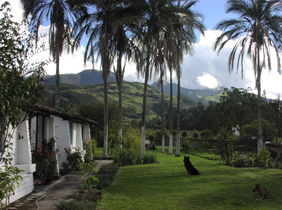 Las Palmeras Inn, Otavalo