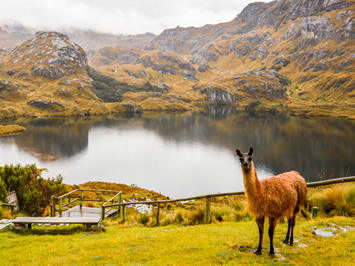 Ecuador gay adventure tour