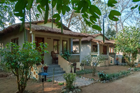Machan Country Villa, Chitwan