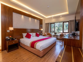 The Malla Hotel room
