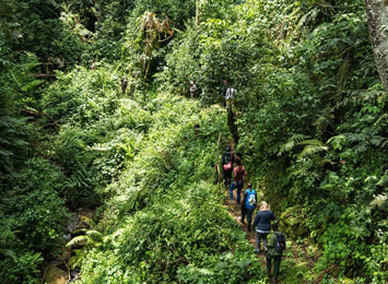Rwanda nature walk