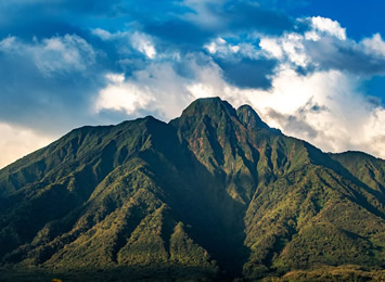 Rwanda gay tour - Volcanoes National Park